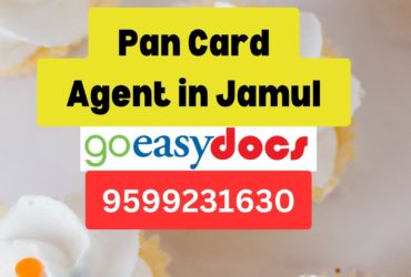 Pan Card Agent Consultant in Jamul 8851415812