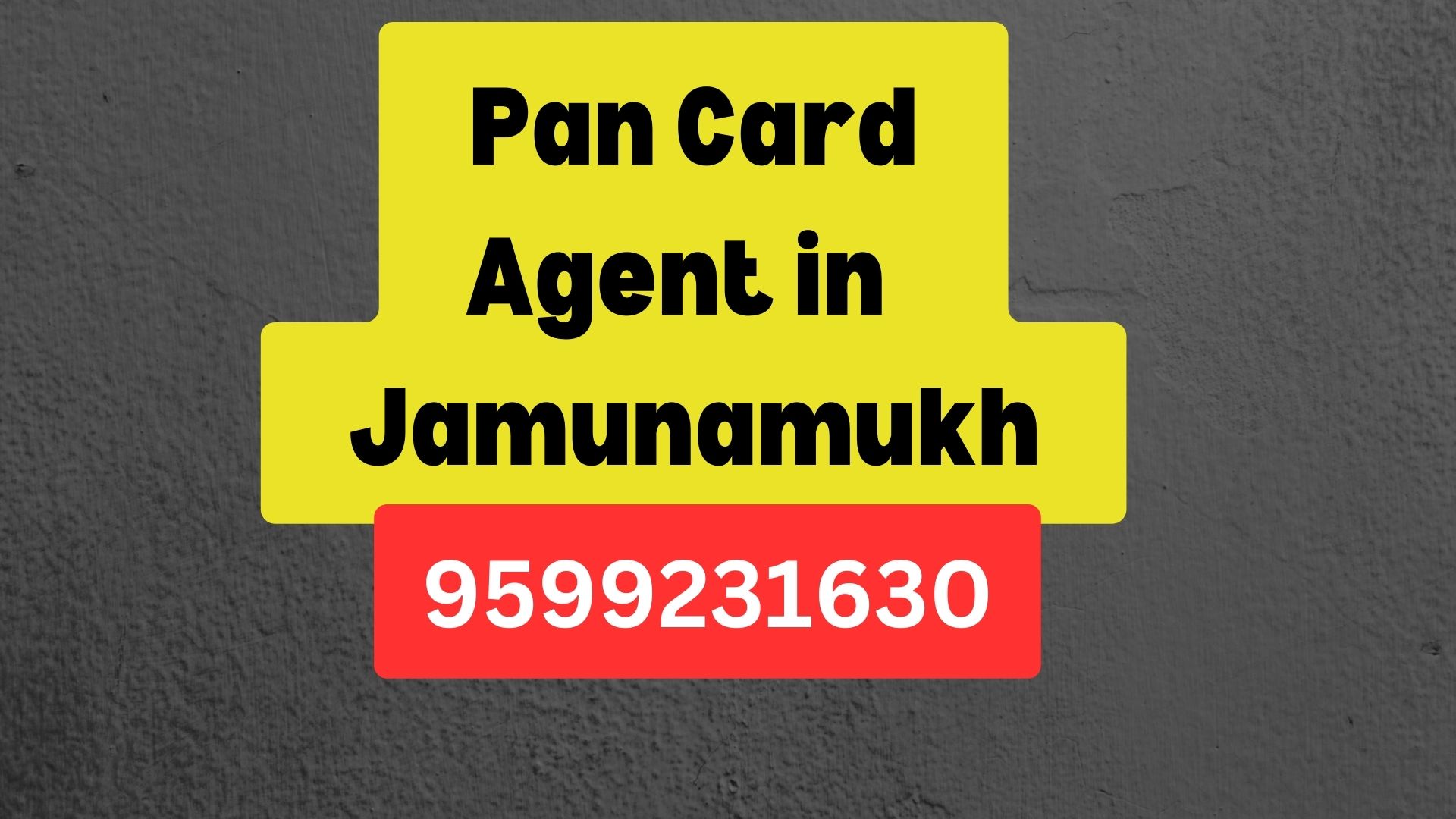 Pan Card Agent Consultant in Jamunamukh  8851415812