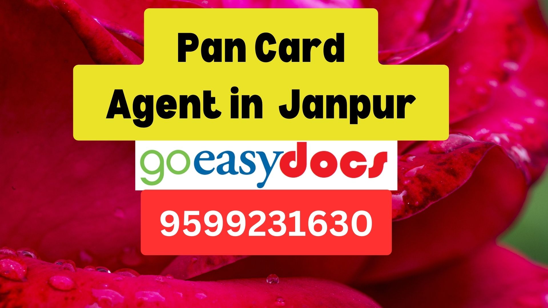 Pan Card Agent Consultant in Janpur 8851415812