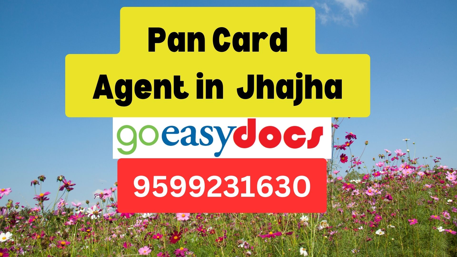 Pan Card Agent Consultant in Jhajha  8851415812