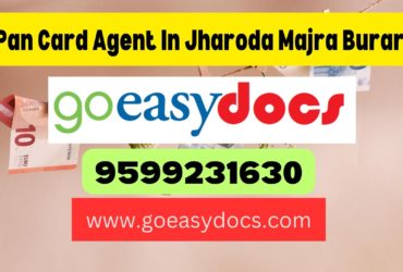 Pan Card Agent Consultant in Jharoda Majra Burari 8851415812