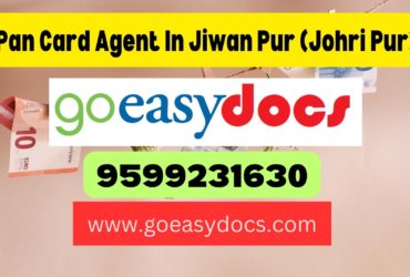 Pan Card Agent Consultant in Jiwan Pur  8851415812