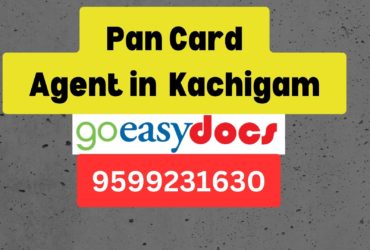 Pan Card Agent Consultant in Kachigam 8851415812