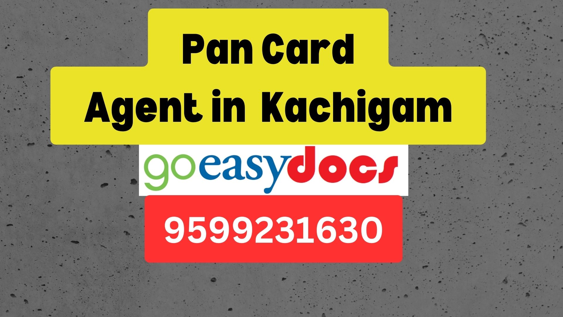 Pan Card Agent Consultant in Kachigam 8851415812