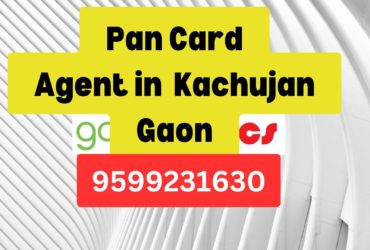 Pan Card Agent Consultant in Kachujan Gaon  8851415812