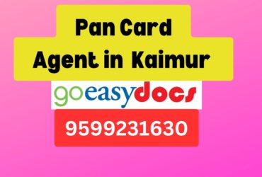 Pan Card Agent Consultant in Kaimur   8851415812