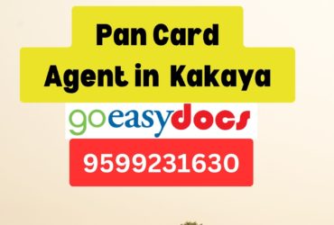 Pan Card Agent Consultant in Kakaya  8851415812