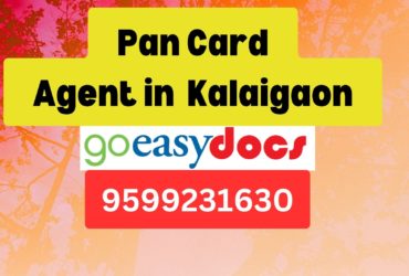 Pan Card Agent Consultant in Kalaigaon   8851415812