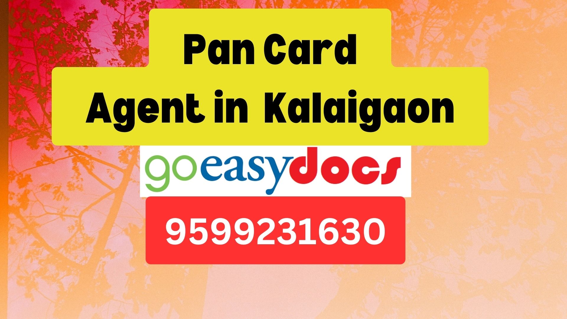 Pan Card Agent Consultant in Kalaigaon   8851415812