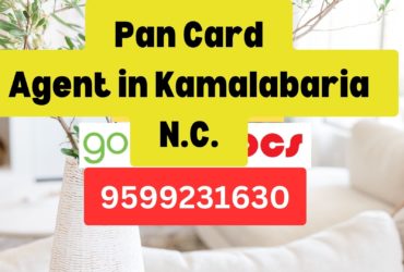 Pan Card Agent Consultant in Kamalabaria N.C.  8851415812