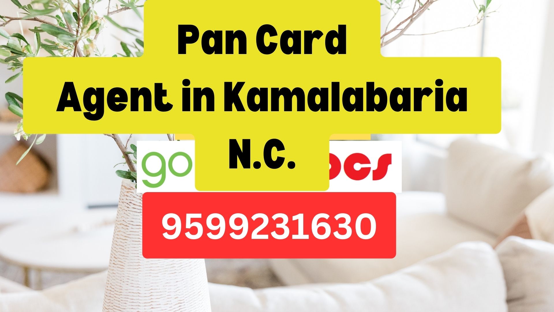 Pan Card Agent Consultant in Kamalabaria N.C.  8851415812