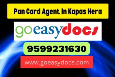 Pan Card Agent Consultant in Kapas Hera 8851415812