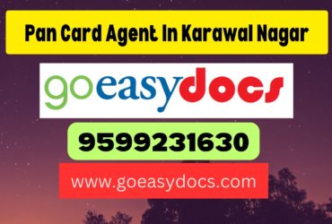 Pan Card Agent Consultant in Karawal Nagar 8851415812