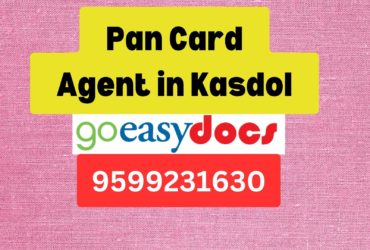 Pan Card Agent Consultant in Kasdol 8851415812