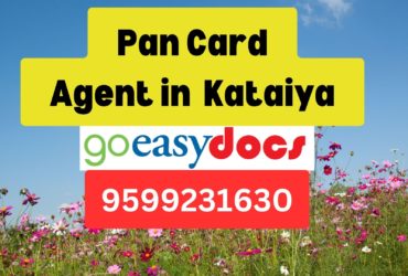 Pan Card Agent Consultant in Kataiya  8851415812