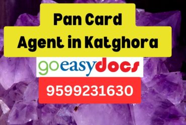 Pan Card Agent Consultant in Katghora 8851415812