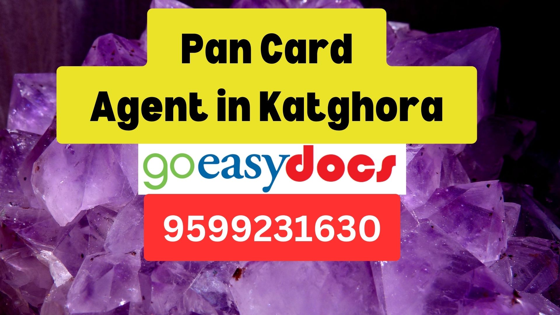 Pan Card Agent Consultant in Katghora 8851415812