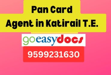 Pan Card Agent Consultant in Katirail T.E.  8851415812