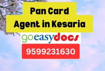 Pan Card Agent Consultant in Kesaria 8851415812