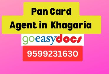 Pan Card Agent Consultant in Khagaria   8851415812