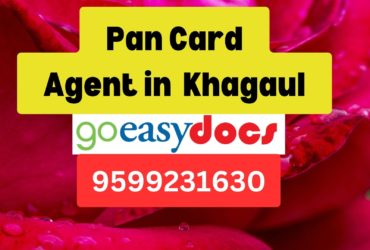 Pan Card Agent Consultant in Khagaul 8851415812