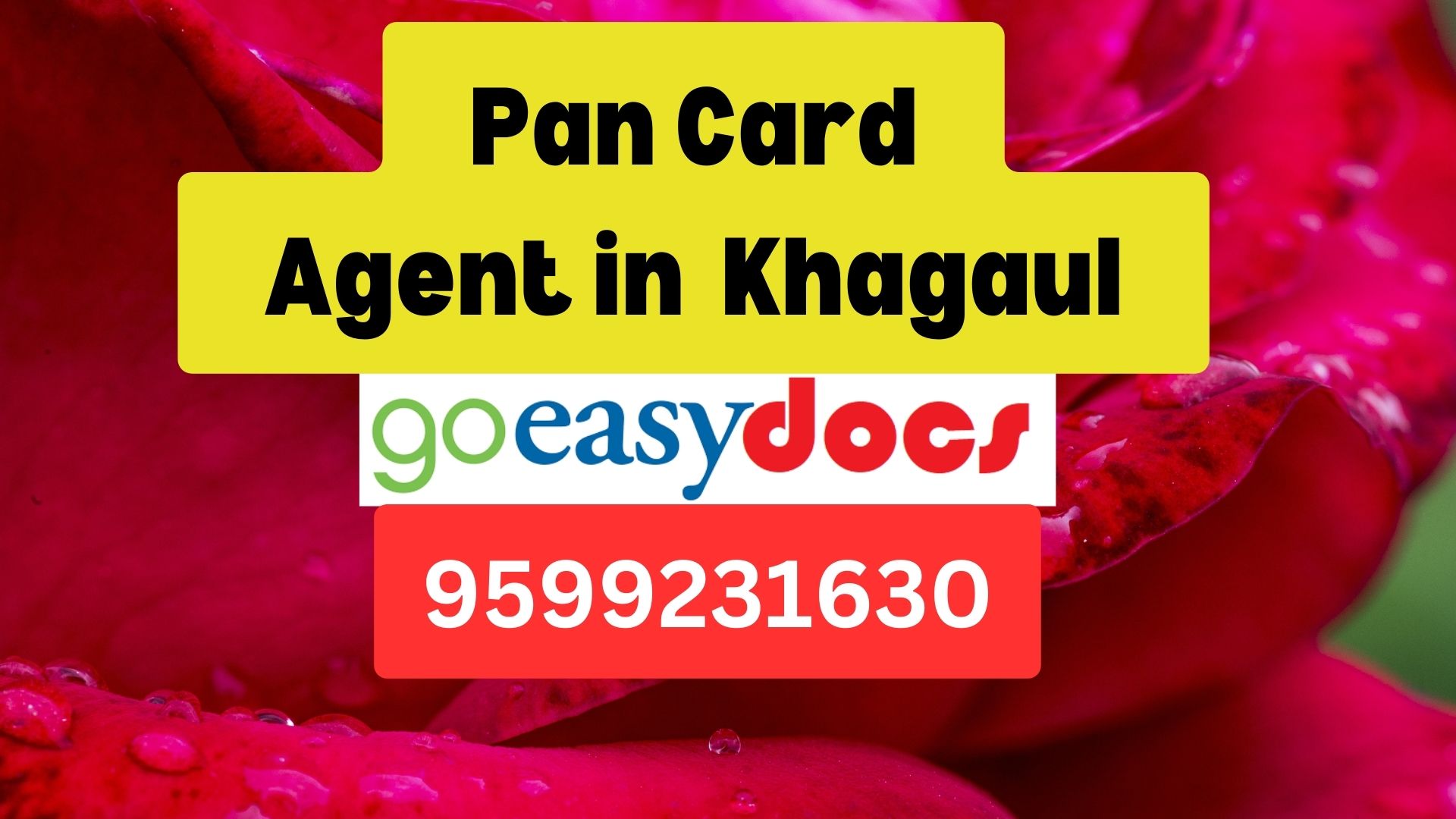 Pan Card Agent Consultant in Khagaul 8851415812