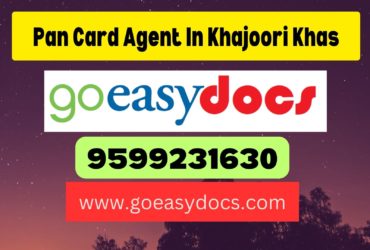 Pan Card Agent Consultant in Khajoori Khas 8851415812