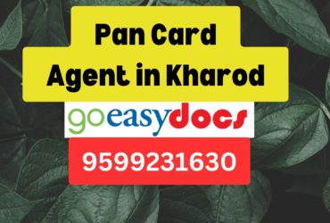 Pan Card Agent Consultant in Kharod 8851415812