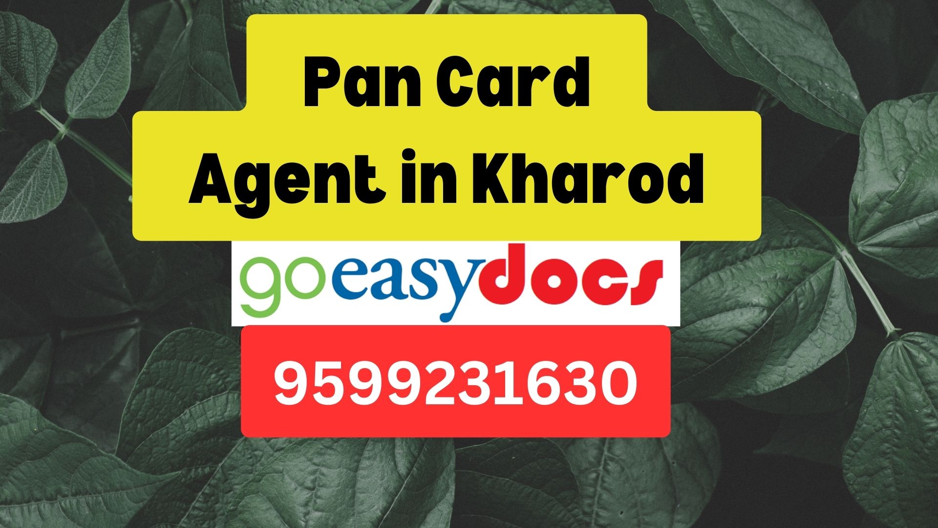 Pan Card Agent Consultant in Kharod 8851415812