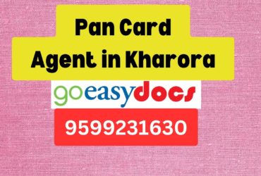 Pan Card Agent Consultant in Kharora 8851415812