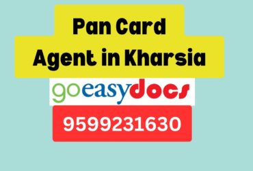 Pan Card Agent Consultant in Kharsia 8851415812