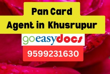 Pan Card Agent Consultant in Khusrupur 8851415812