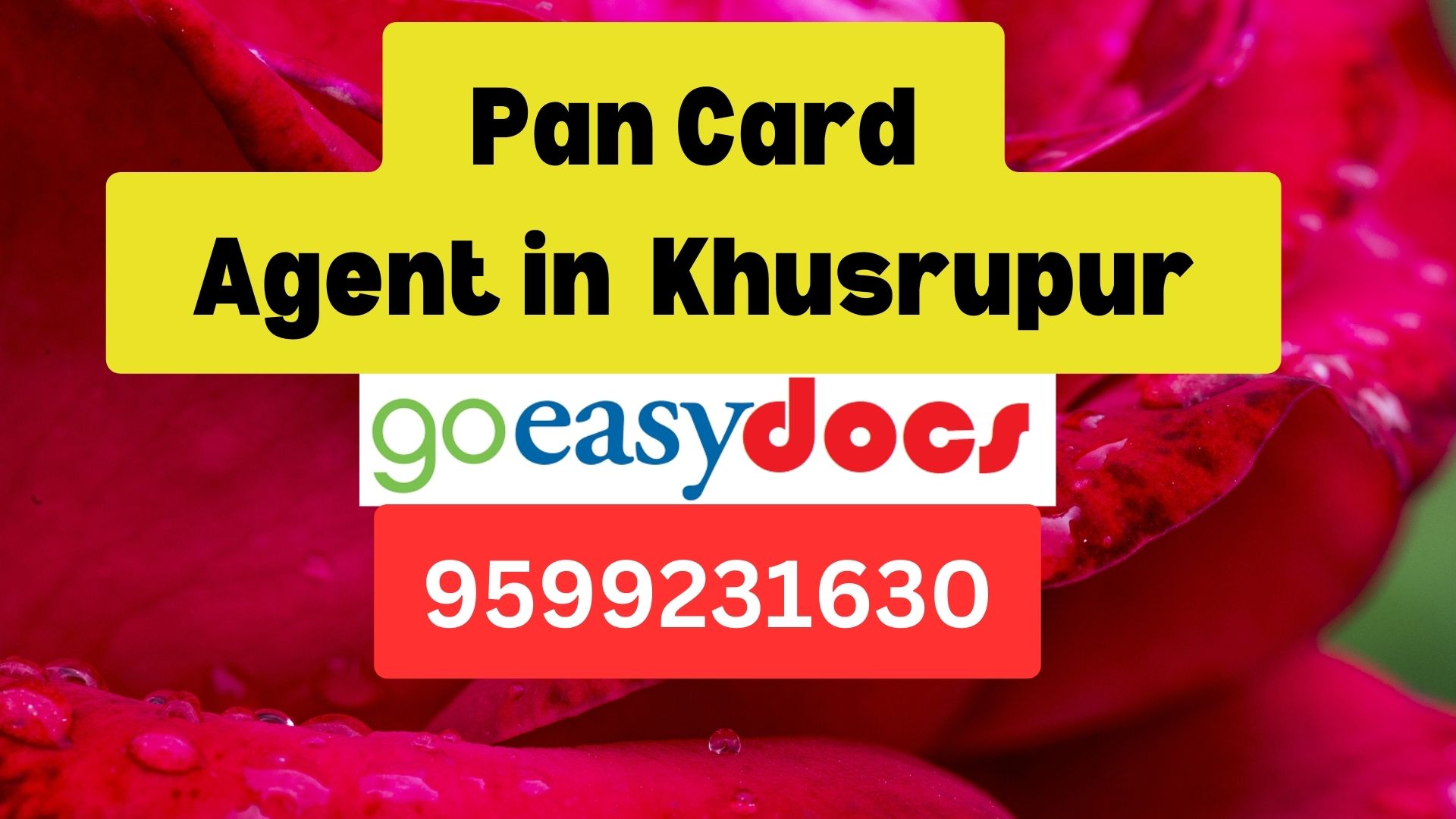 Pan Card Agent Consultant in Khusrupur 8851415812