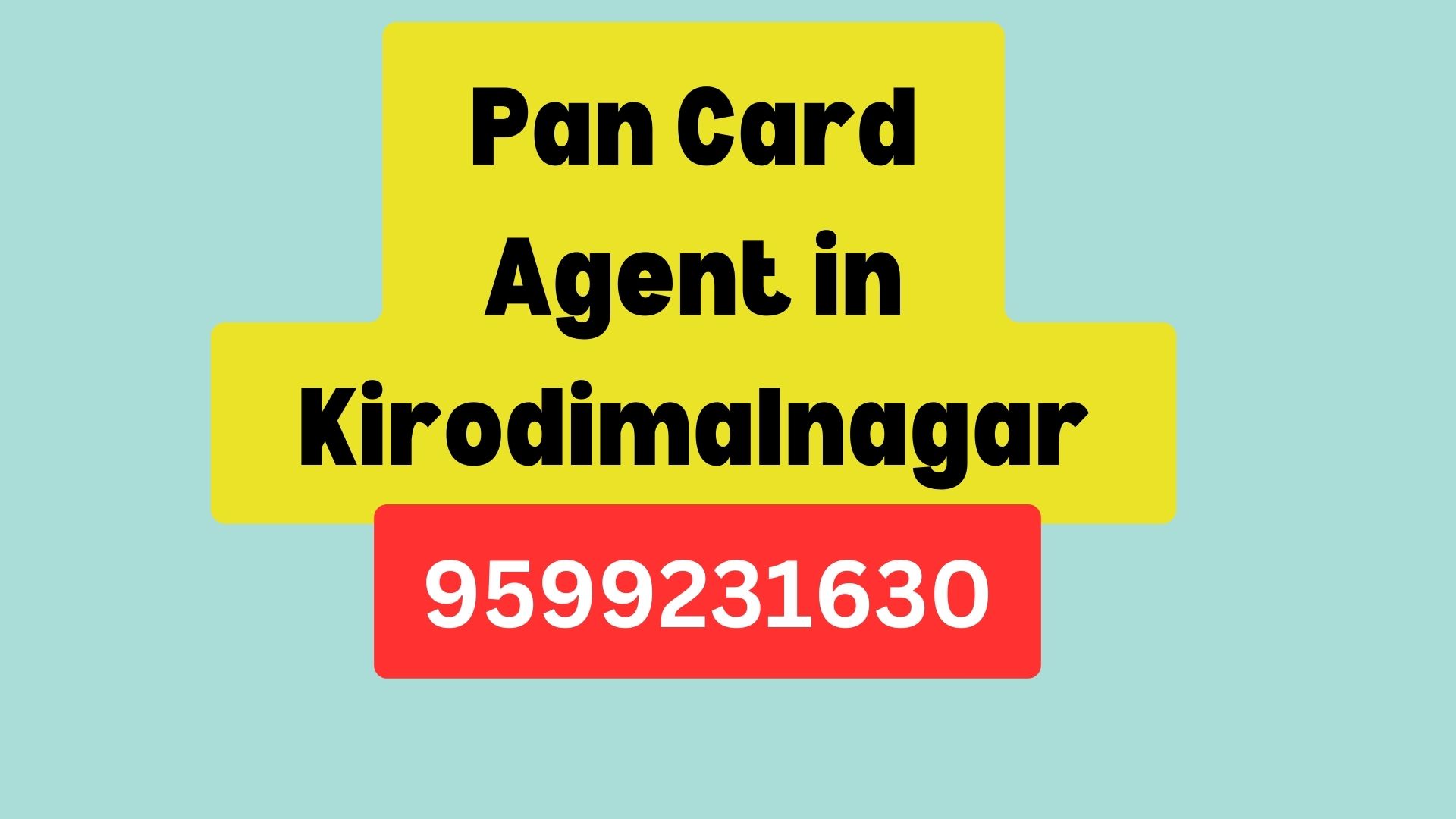 Pan Card Agent Consultant in Kirodimalnagar 8851415812