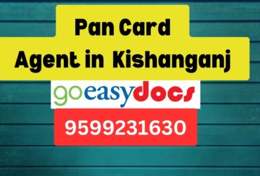 Pan Card Agent Consultant in Kishanganj   8851415812