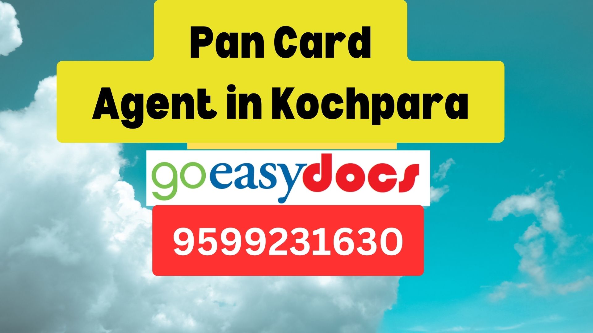 Pan Card Agent Consultant in Kochpara  8851415812