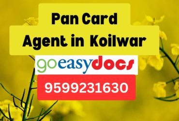 Pan Card Agent Consultant in Koilwar  8851415812