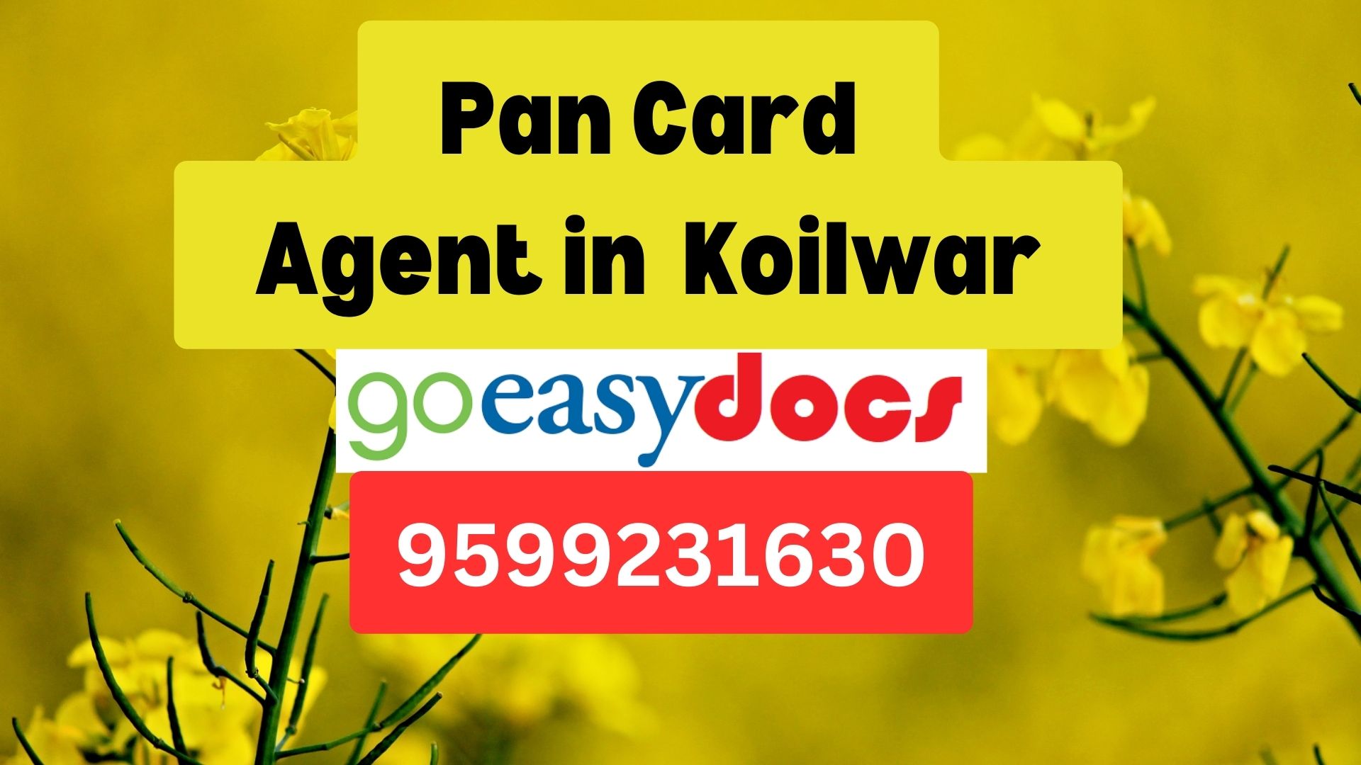 Pan Card Agent Consultant in Koilwar  8851415812