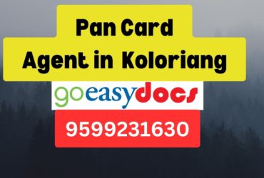 Pan Card Agent Consultant in Koloriang  8851415812