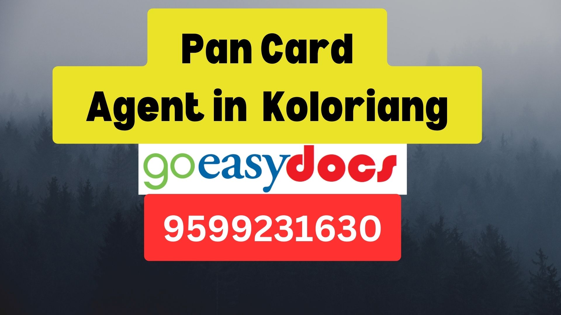 Pan Card Agent Consultant in Koloriang  8851415812