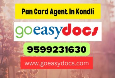 Pan Card Agent Consultant in Kondli 8851415812