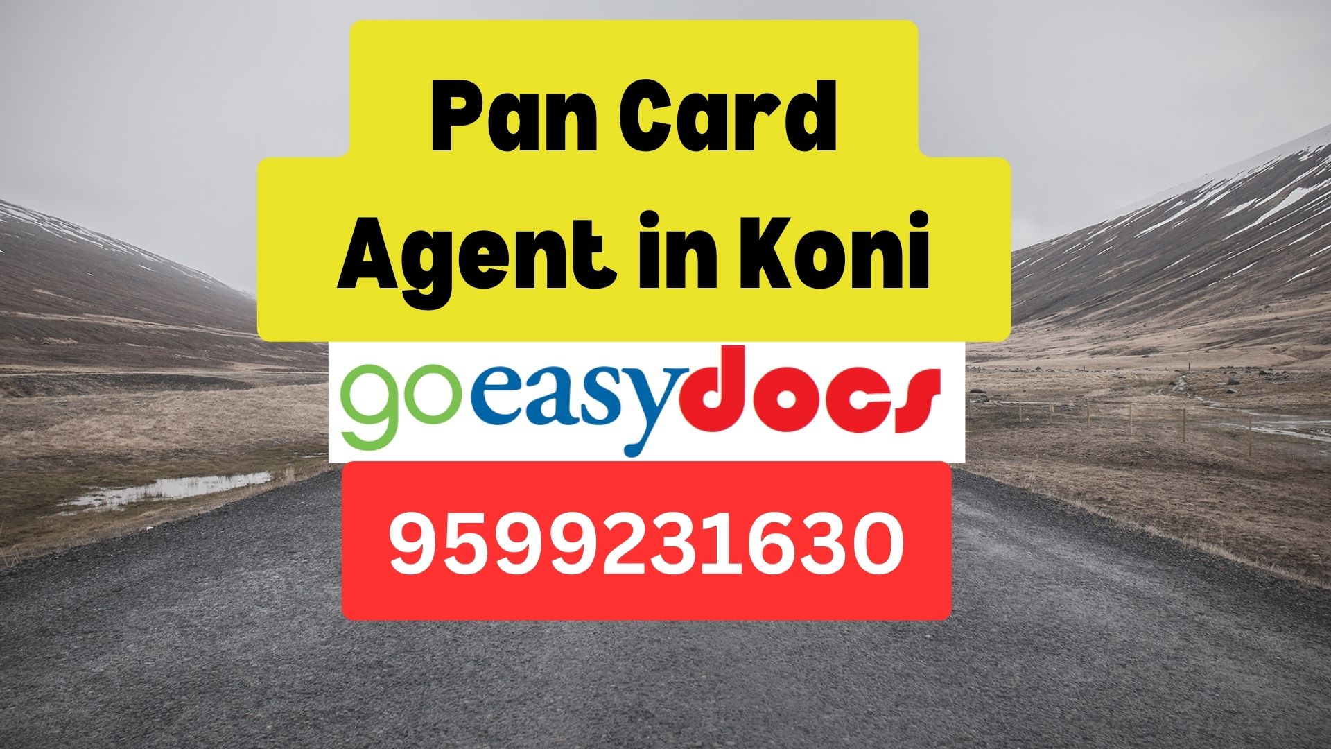 Pan Card Agent Consultant in Koni 8851415812