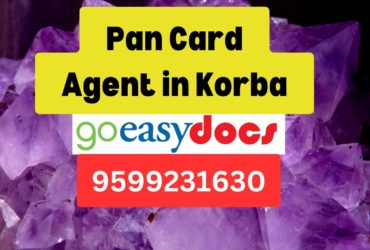 Pan Card Agent Consultant in Korba 8851415812