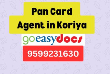 Pan Card Agent Consultant in Koriya 8851415812