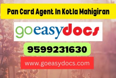 Pan Card Agent Consultant in Kotla Mahigiran 8851415812