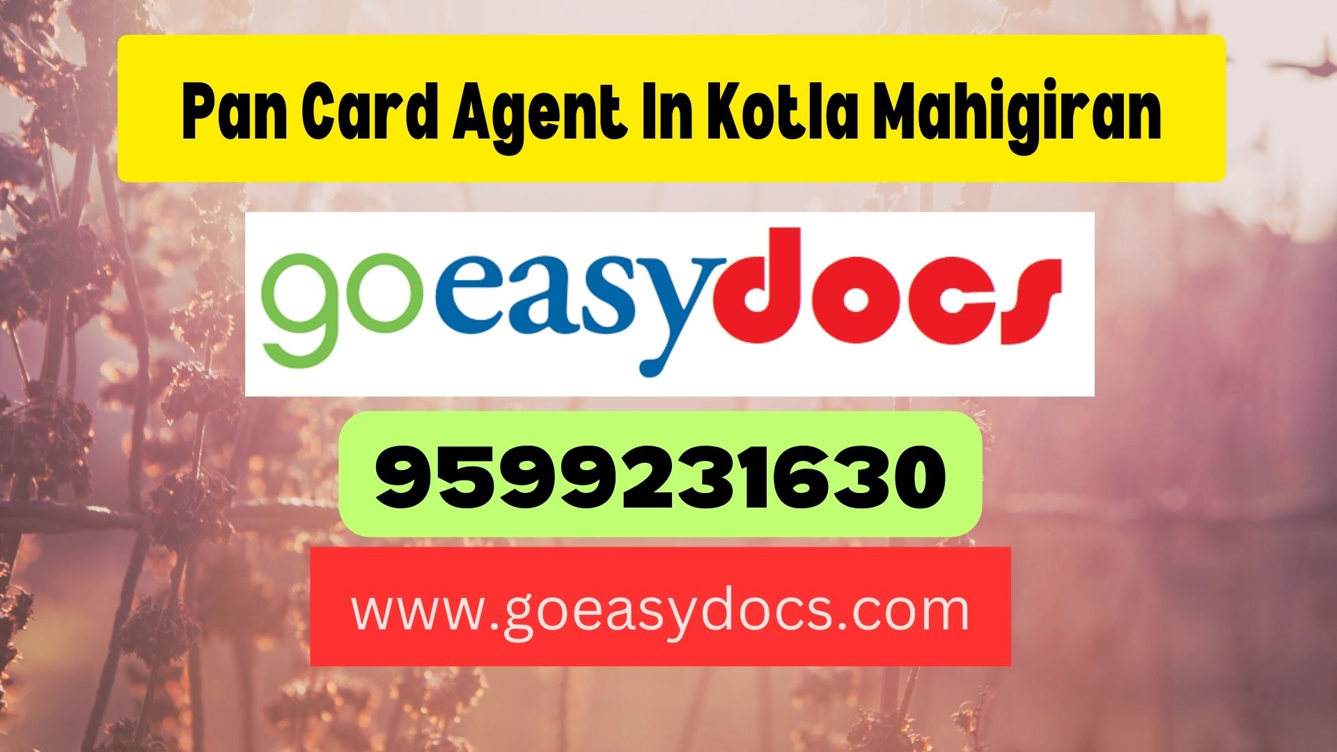 Pan Card Agent Consultant in Kotla Mahigiran 8851415812