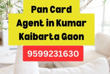 d Agent Consultant in Kumar Kaibarta Gaon  8851415812