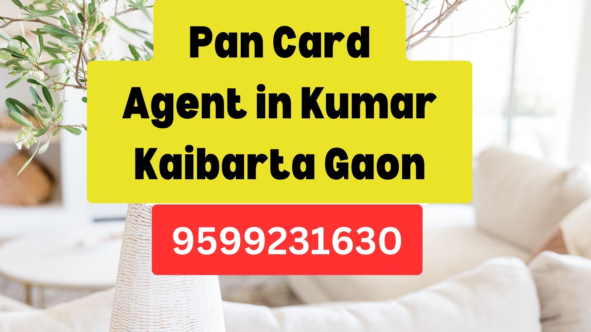 d Agent Consultant in Kumar Kaibarta Gaon  8851415812