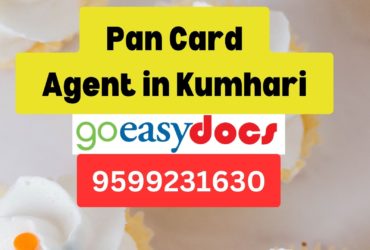 Pan Card Agent Consultant in Kumhari 8851415812