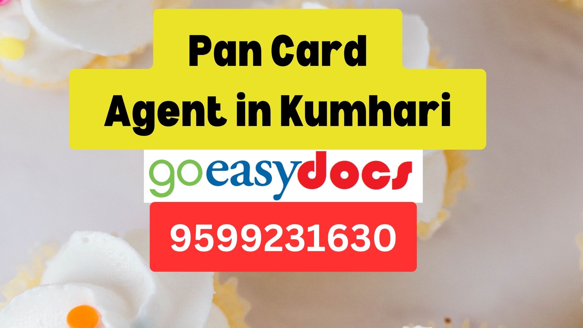 Pan Card Agent Consultant in Kumhari 8851415812